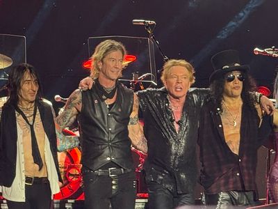 Portrait of Guns N' Roses